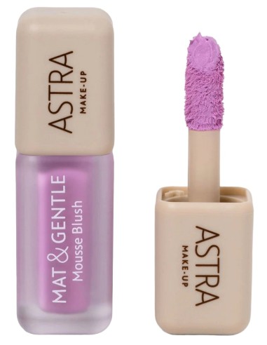 Astra Mat&gentle Mousse Blush - Blush In Mousse - 01 Plie'